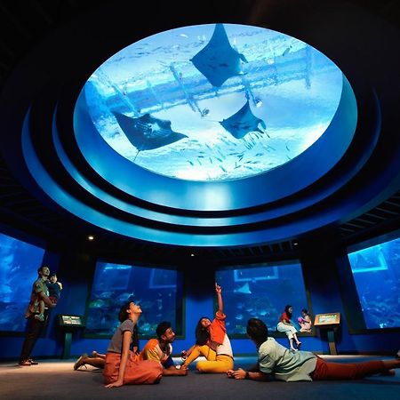 Resorts World Sentosa - Festive Hotel Singapore Eksteriør billede Open ocean exhibit