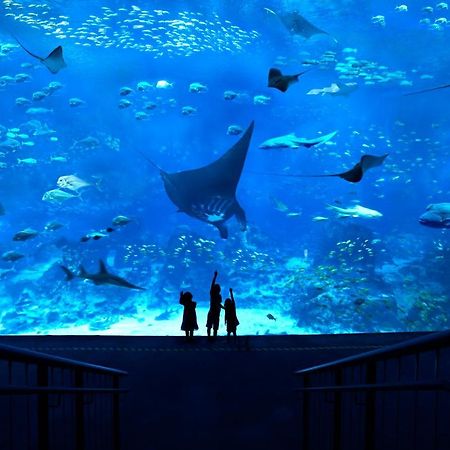Resorts World Sentosa - Festive Hotel Singapore Eksteriør billede The Lost Chambers Aquarium