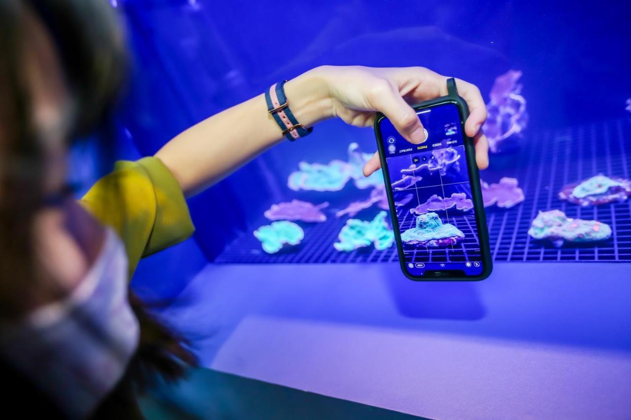 Resorts World Sentosa - Festive Hotel Singapore Eksteriør billede A visitor takes a photo of the aquarium
