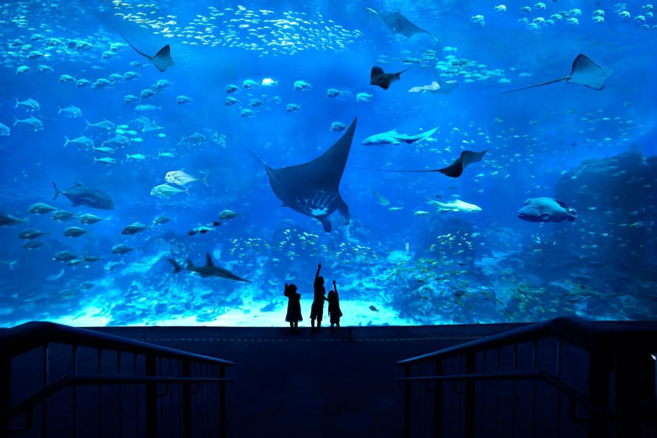 Resorts World Sentosa - Festive Hotel Singapore Eksteriør billede The Lost Chambers Aquarium