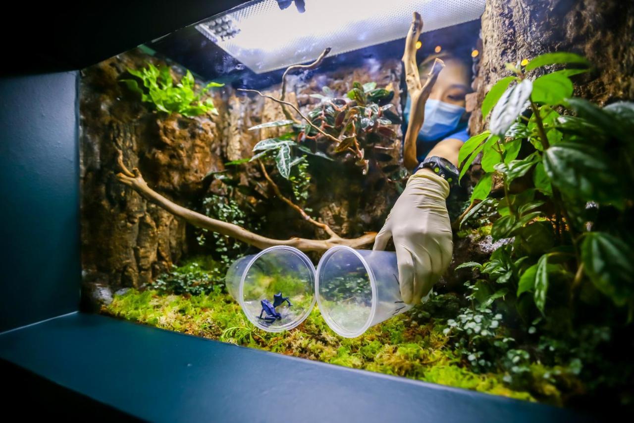 Resorts World Sentosa - Festive Hotel Singapore Eksteriør billede A bioactive terrarium with a blue-dumpy frog