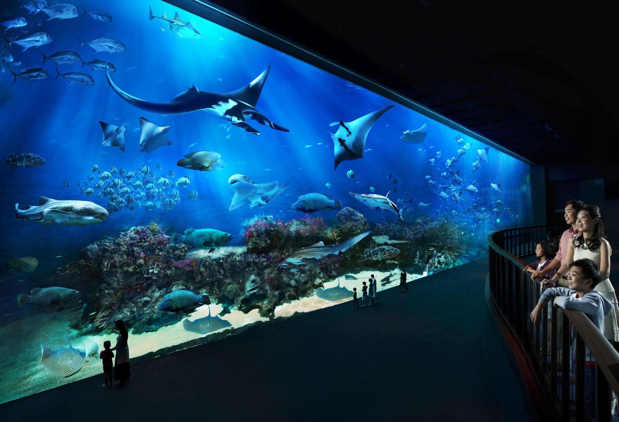 Resorts World Sentosa - Festive Hotel Singapore Eksteriør billede The open ocean exhibit